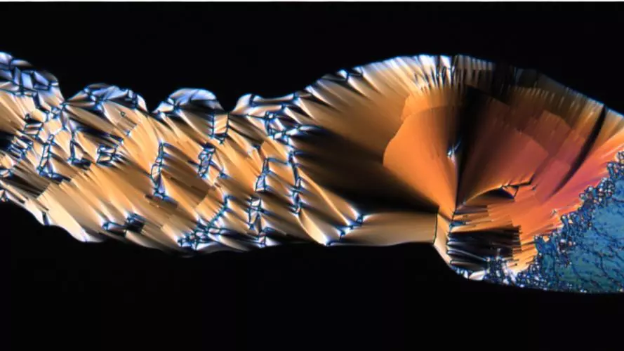 Biophotonics