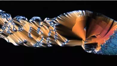 Biophotonics